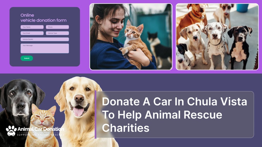 Donate A Car In Chula Vista To Help Animal Rescue Charities