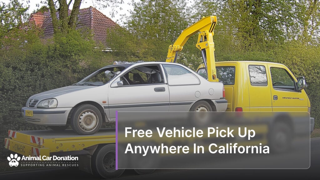 Free Vehicle Pick Up Anywhere In California