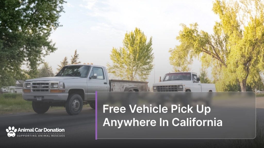 Free Vehicle Pick Up Anywhere In California