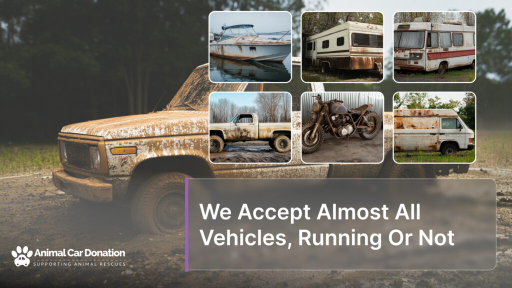 We Accept Almost All Vehicles, Running Or Not