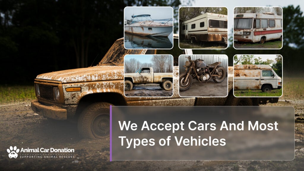 We Accept Cars And Most Types of Vehicles