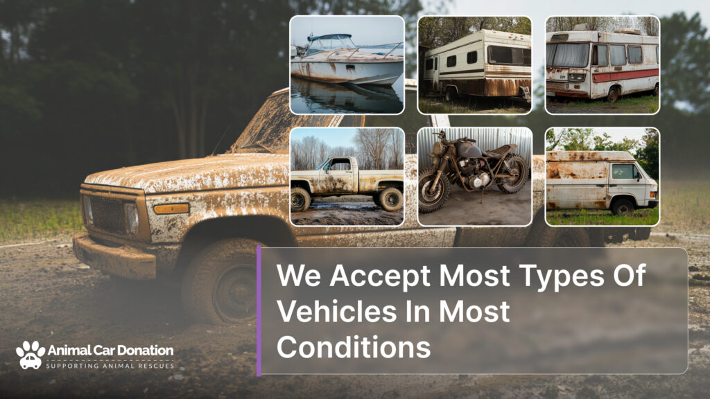 We Accept Most Types Of Vehicles In Most Conditions