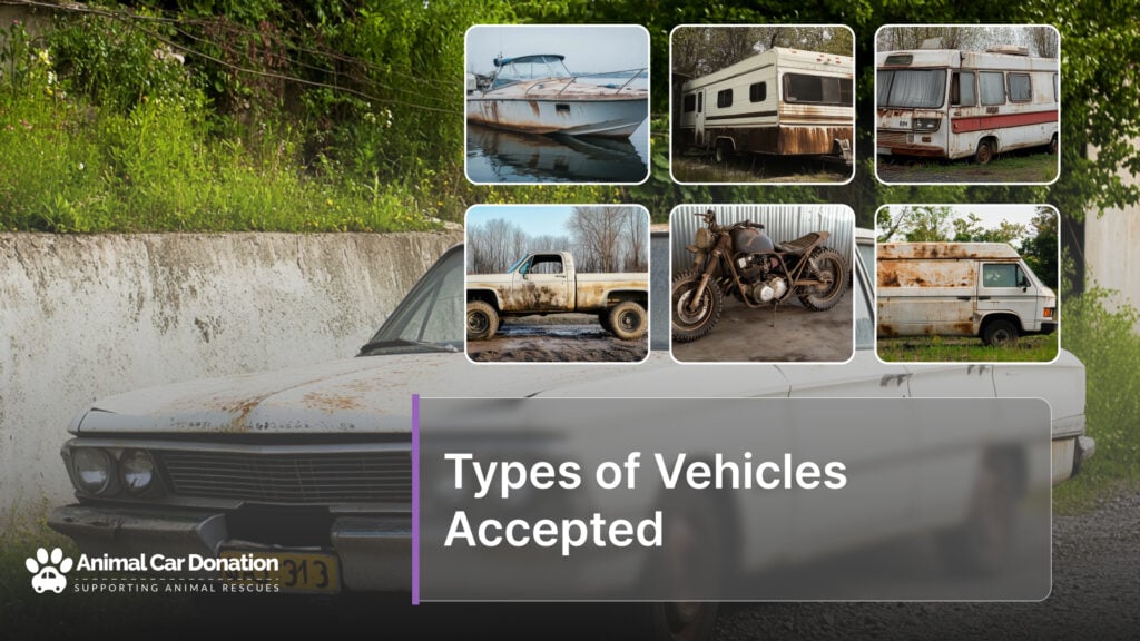 Types of Vehicles Accepted