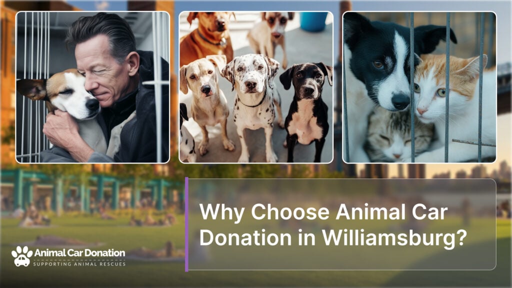 Why Choose Animal Car Donation in Williamsburg?