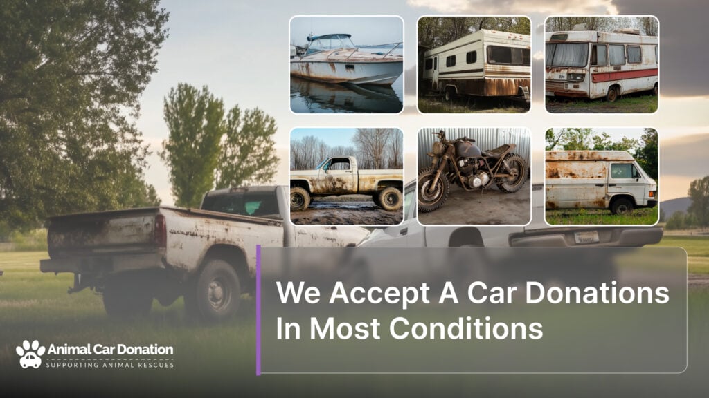 We Accept A Car Donations In Most Conditions