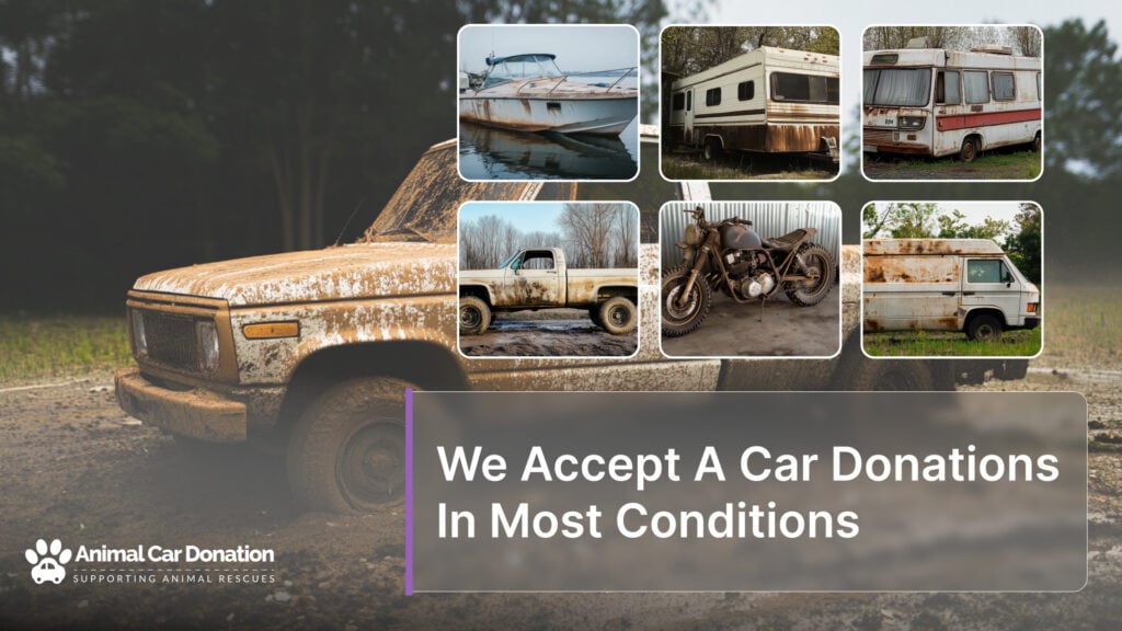 We Accept A Car Donations In Most Conditions