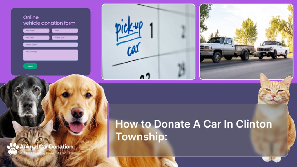 How to Donate A Car In Clinton Township