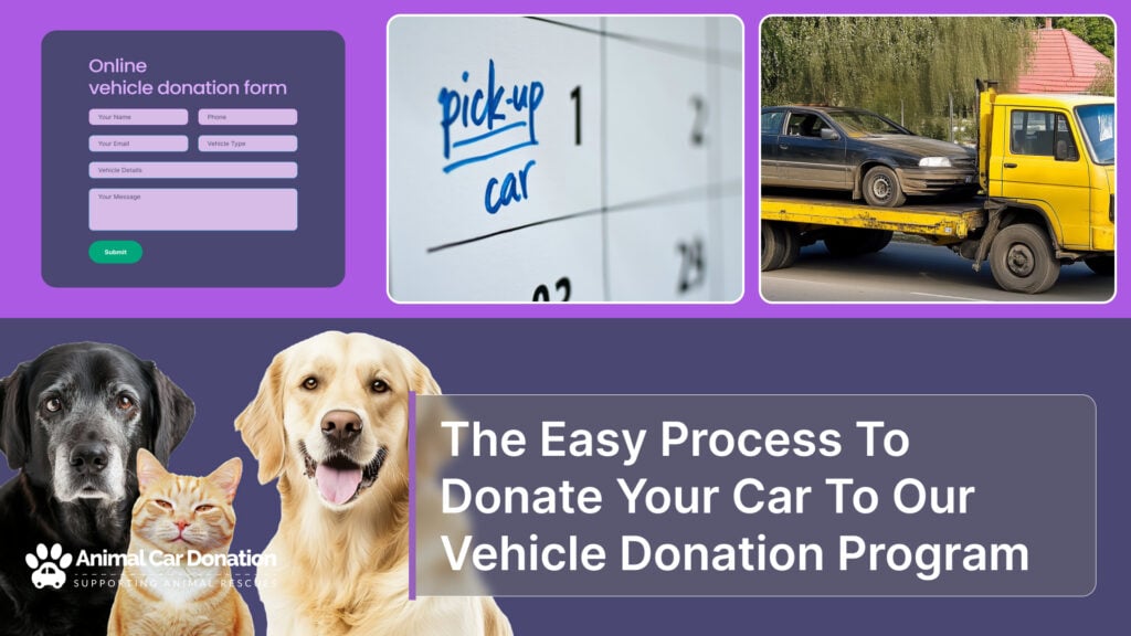 The Easy Process To Donate Your Car To Our Vehicle Donation Program