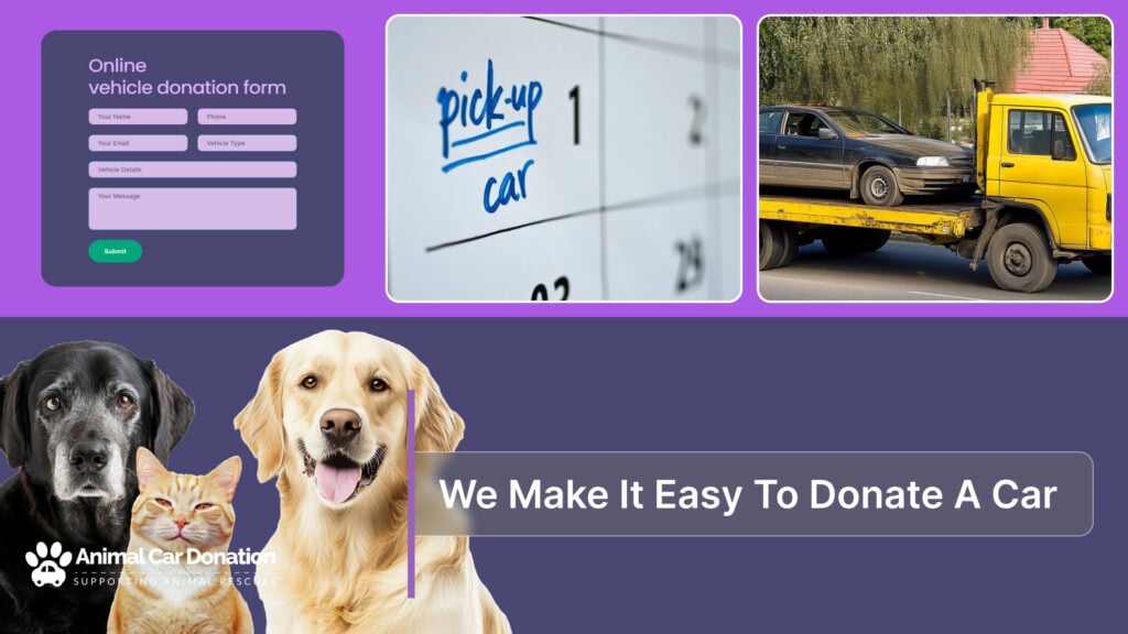 We Make It Easy To Donate A Car