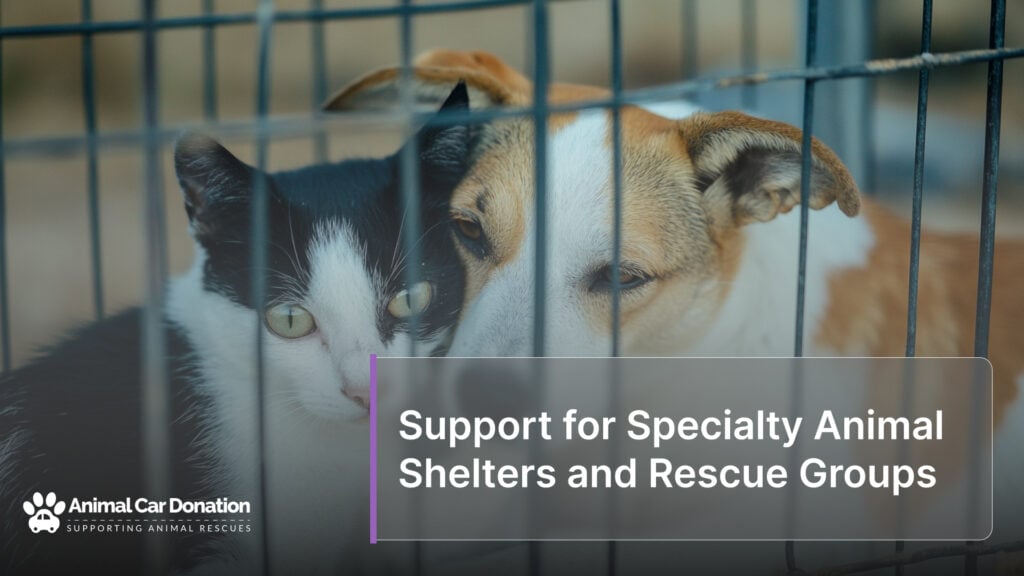 Support for Specialty Animal Shelters and Rescue Groups