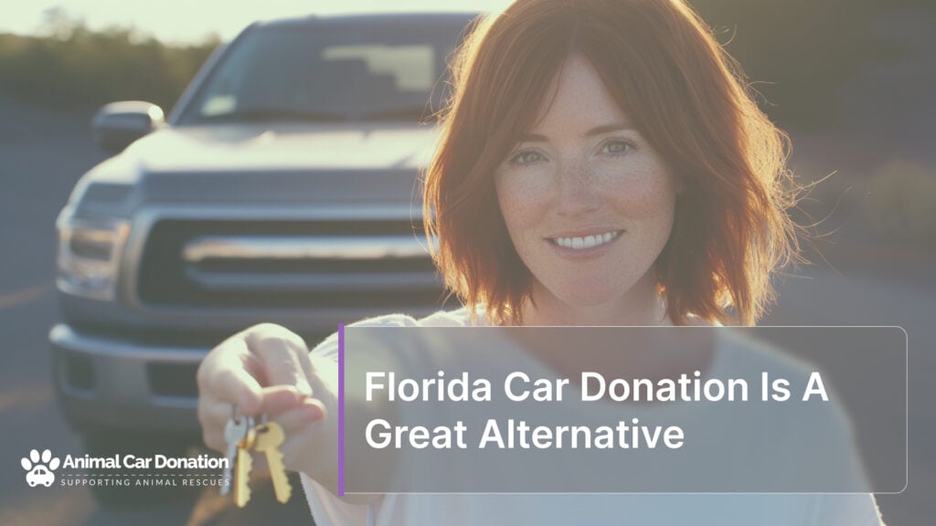 Florida Car Donation Is A Great Alternative