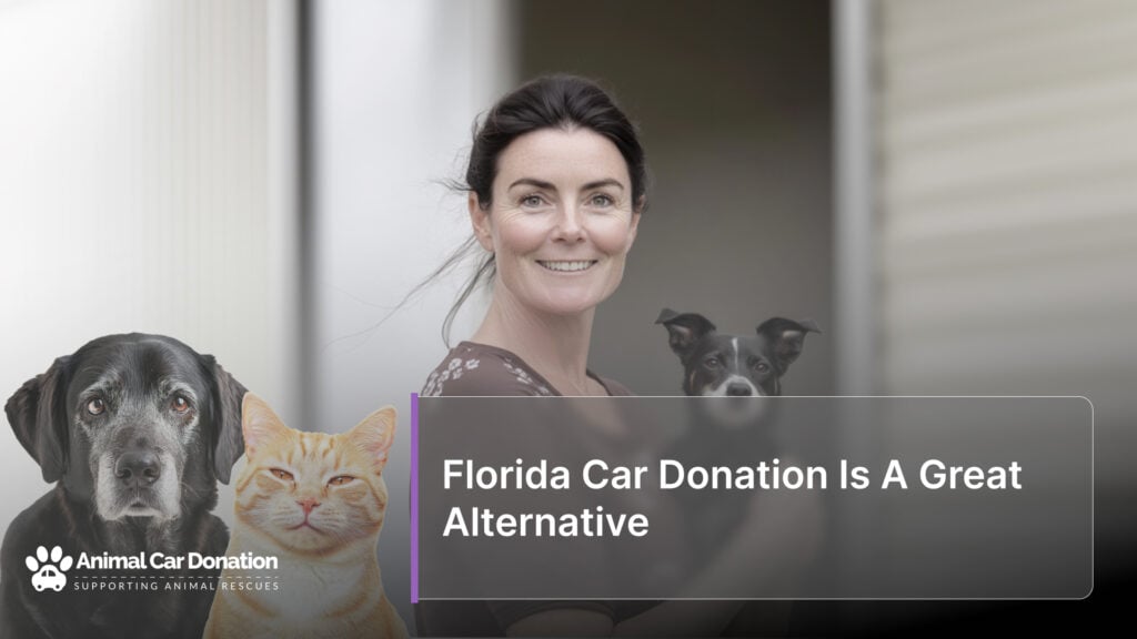 Florida Car Donation Is A Great Alternative