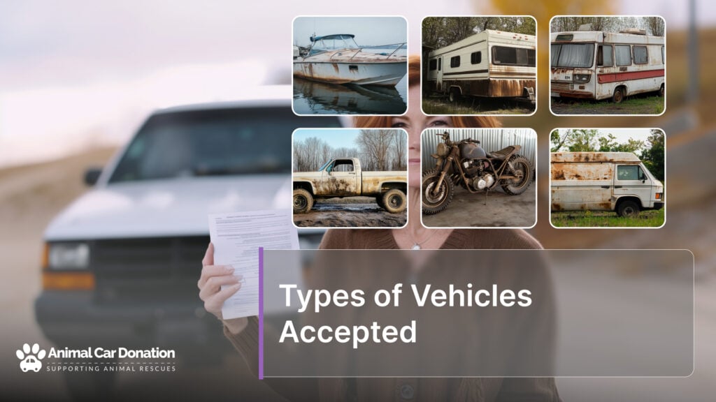 Types of Vehicles Accepted