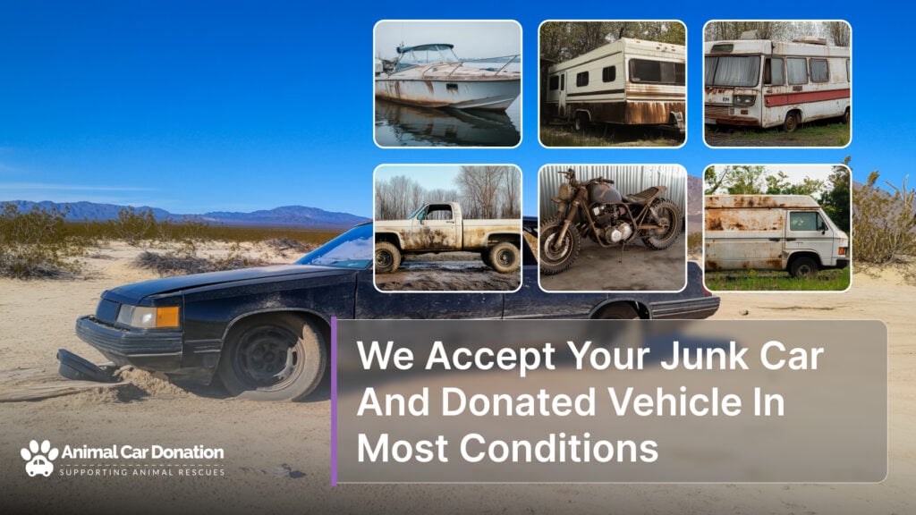 We Accept Your Junk Car And Donated Vehicle In Most Conditions