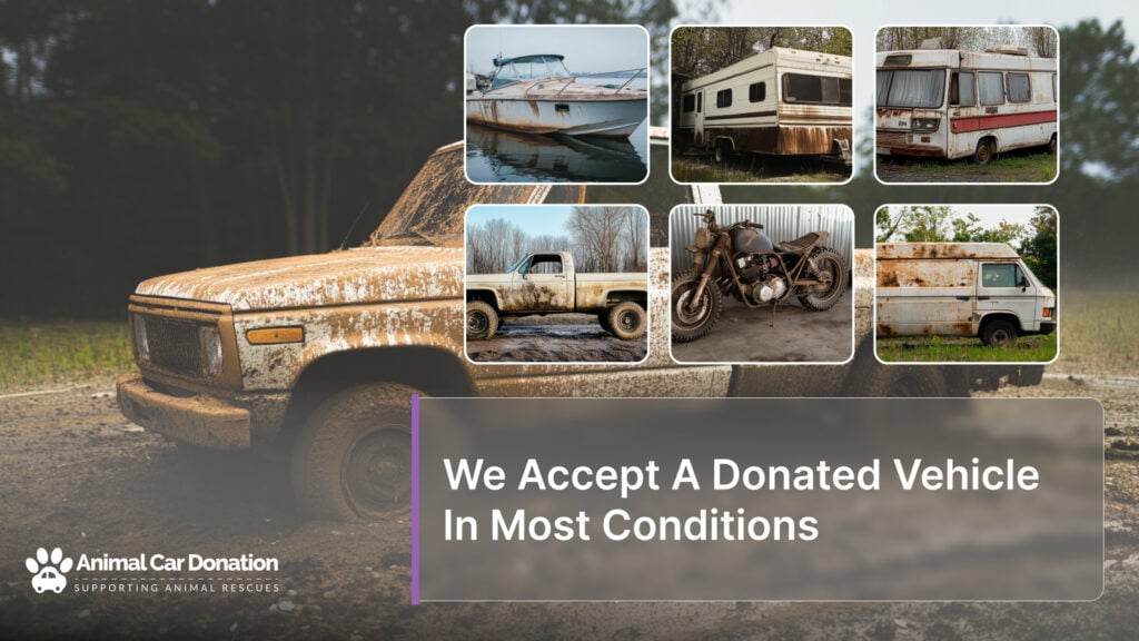 We Accept A Donated Vehicle In Most Conditions