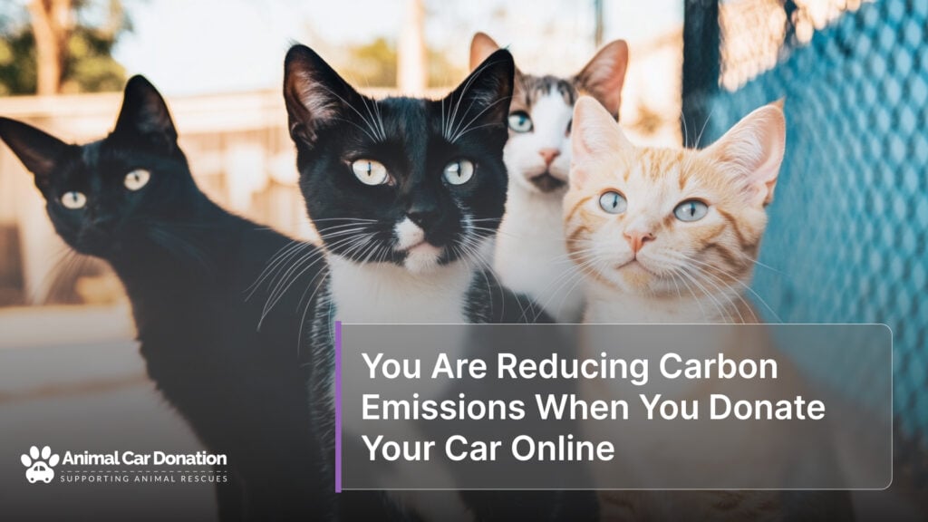 You Are Reducing Carbon Emissions When You Donate Your Car Online