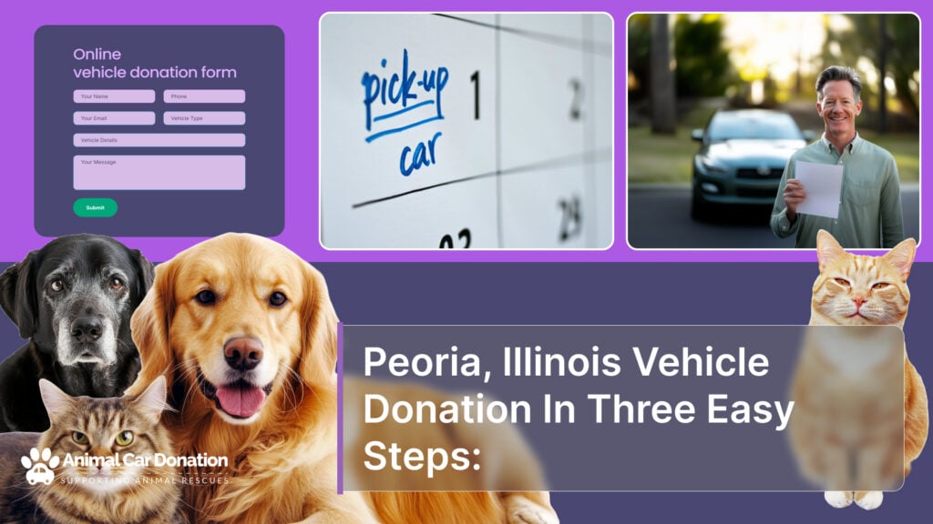 Peoria, Illinois Vehicle Donation In Three Easy Steps