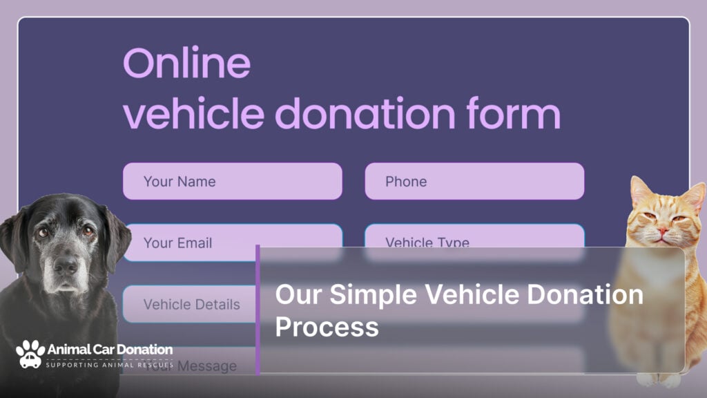 Our Simple Vehicle Donation Process