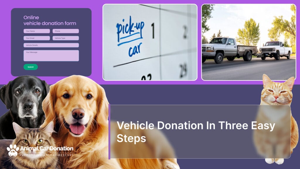 Vehicle Donation In Three Easy Steps