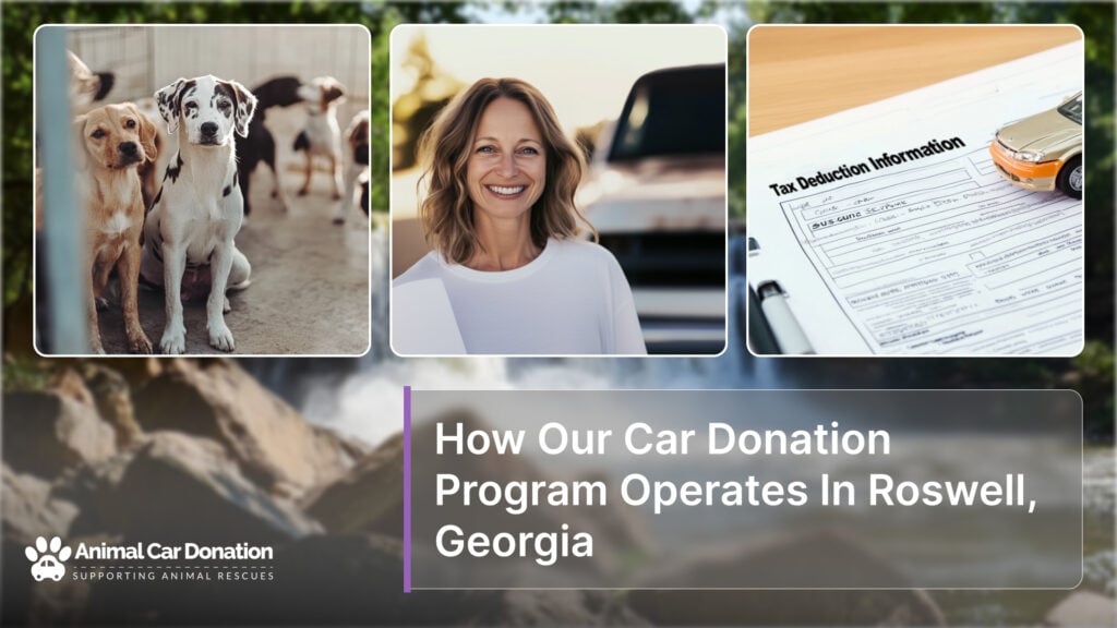 How Our Car Donation Program Operates In Roswell, Georgia