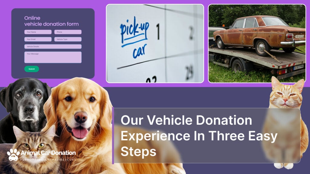 Our Vehicle Donation Experience In Three Easy Steps