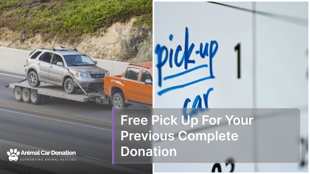 Free Pick Up For Your Previous Complete Donation