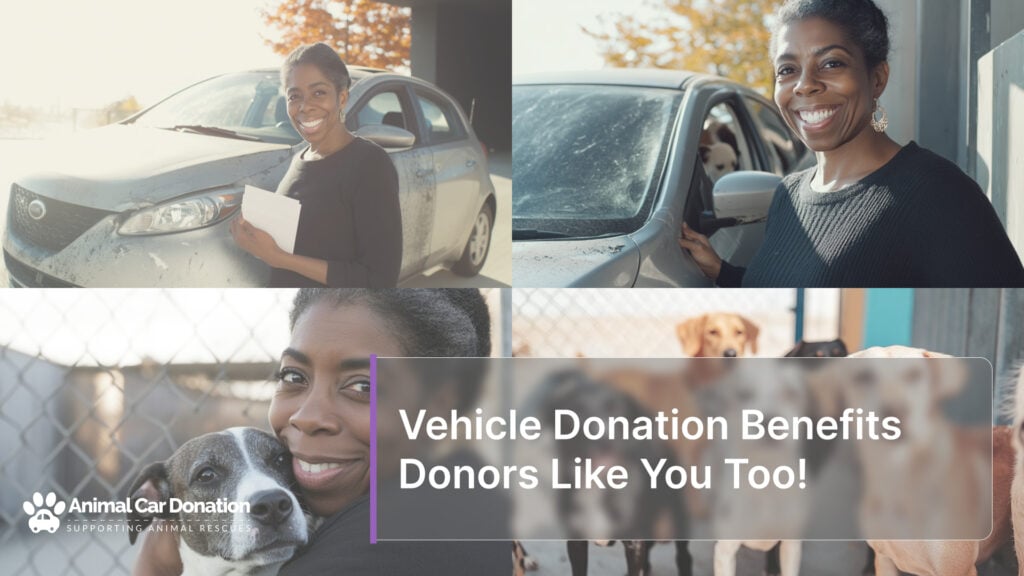 Vehicle Donation Benefits Donors Like You Too!