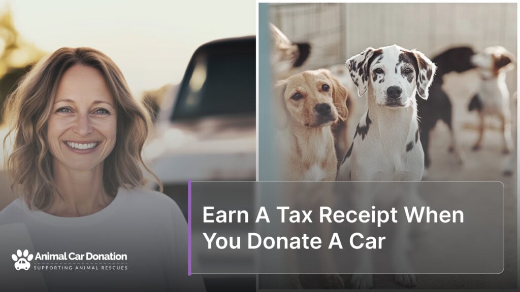 Earn A Tax Receipt When You Donate A Car