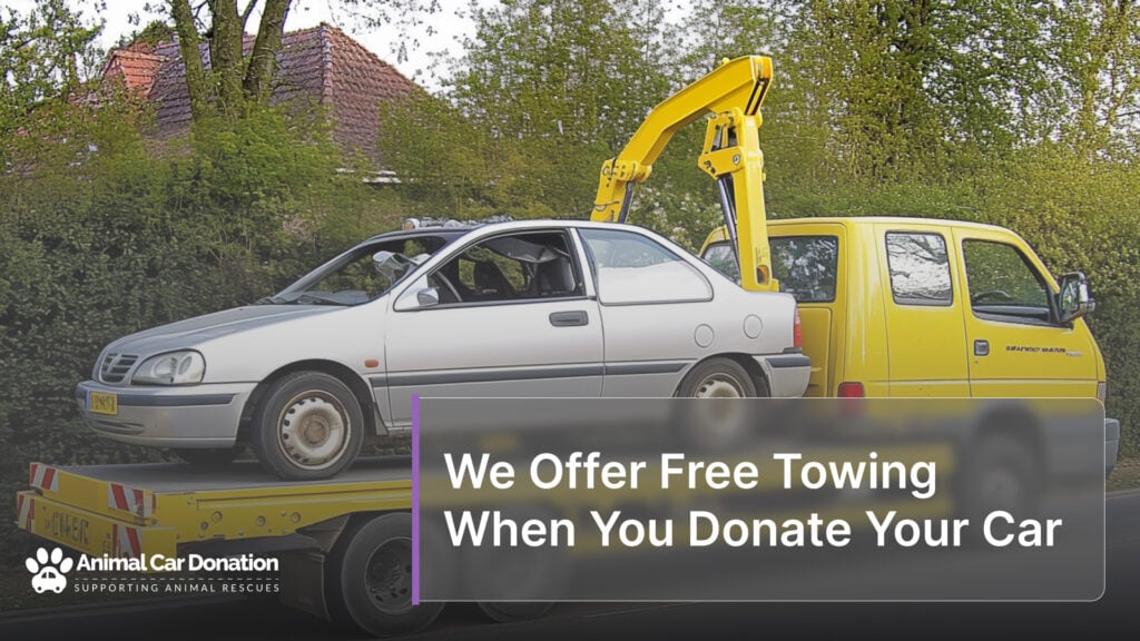  We Offer Free Towing When You Donate Your Car