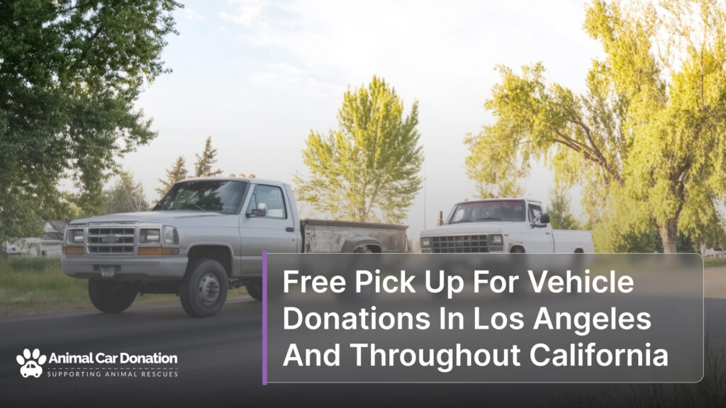 Free Pick Up For Vehicle Donations In Los Angeles And Throughout California