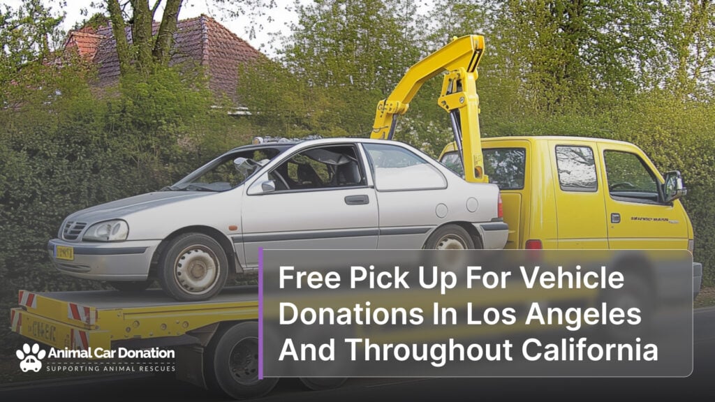 Free Pick Up For Vehicle Donations In Los Angeles And Throughout California