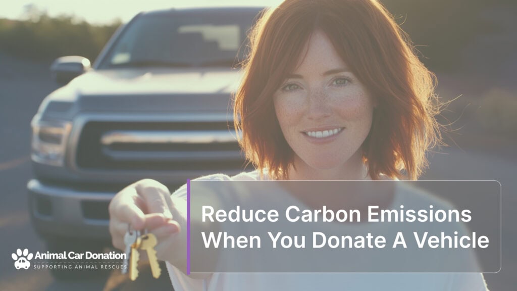 Reduce Carbon Emissions When You Donate A Vehicle