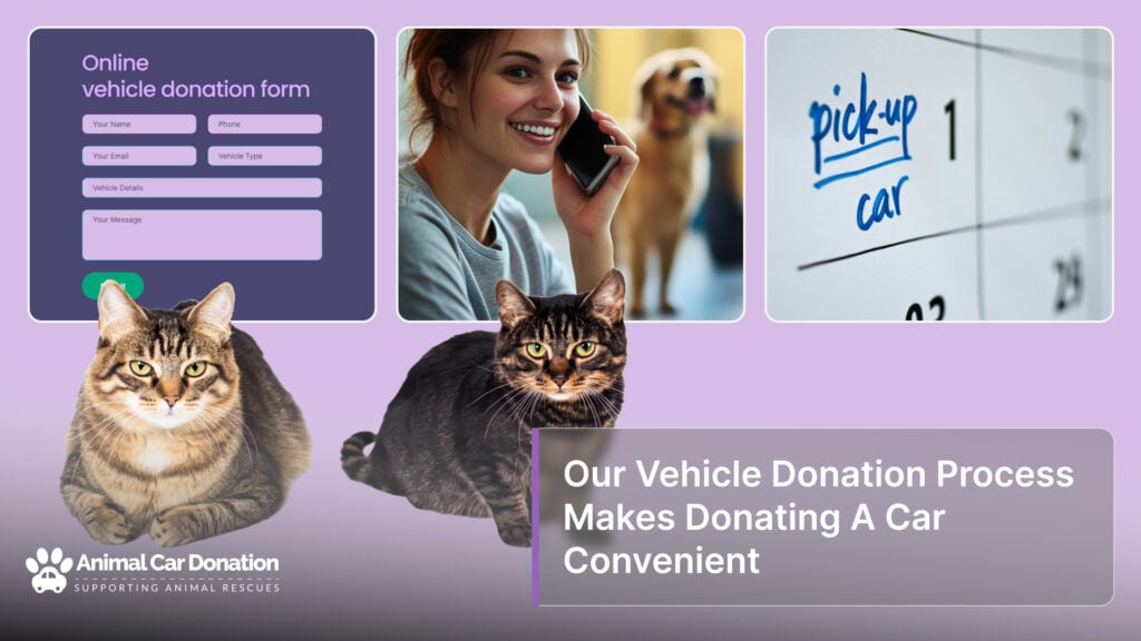 Our Vehicle Donation Process Makes Donating A Car Convenient