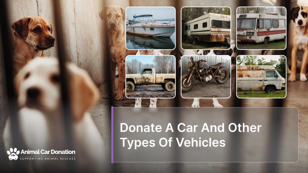 Donate A Car And Other Types Of Vehicles