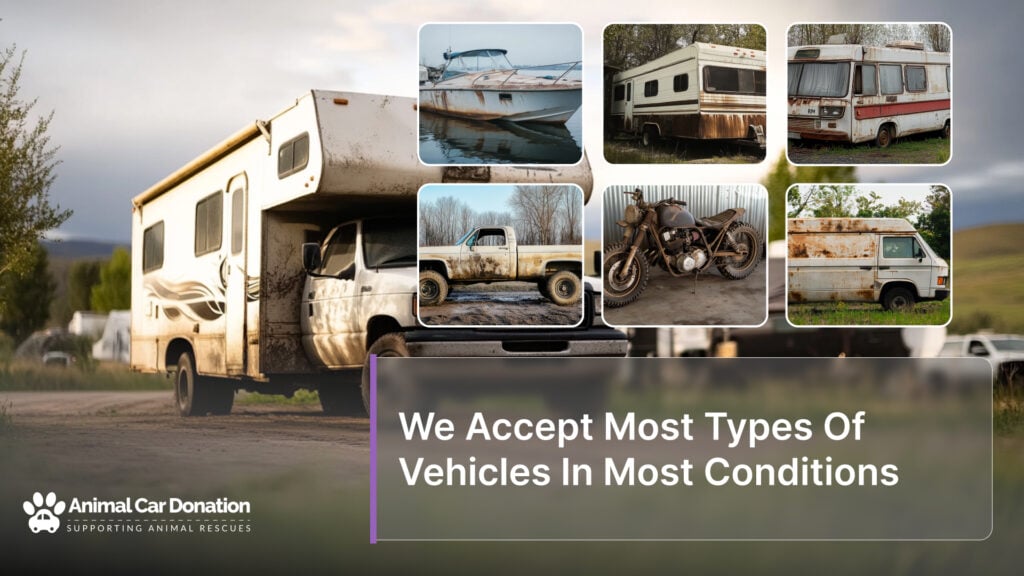 We Accept Most Types Of Vehicles In Most Conditions