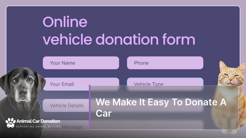 We Make It Easy To Donate A Car