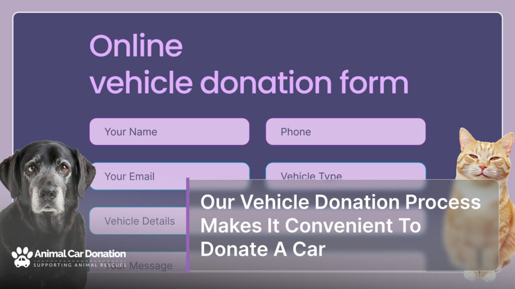 Our Vehicle Donation Process Makes It Convenient To Donate A Car