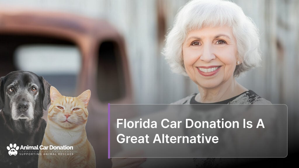 Florida Car Donation Is A Great Alternative