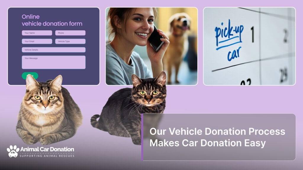 Our Vehicle Donation Process Makes Car Donation Easy