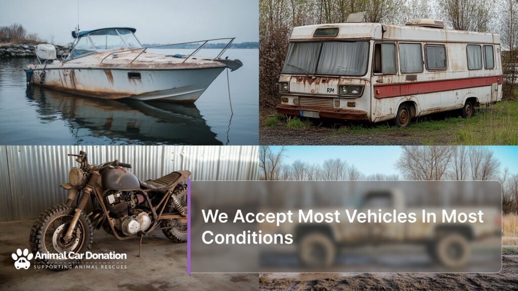 We Accept Most Vehicles In Most Conditions