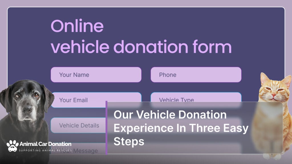 Our Vehicle Donation Experience In Three Easy Steps