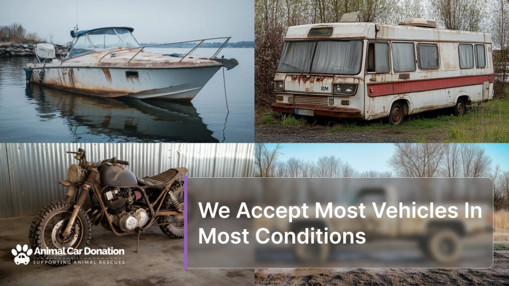 We Accept Most Vehicles In Most Conditions