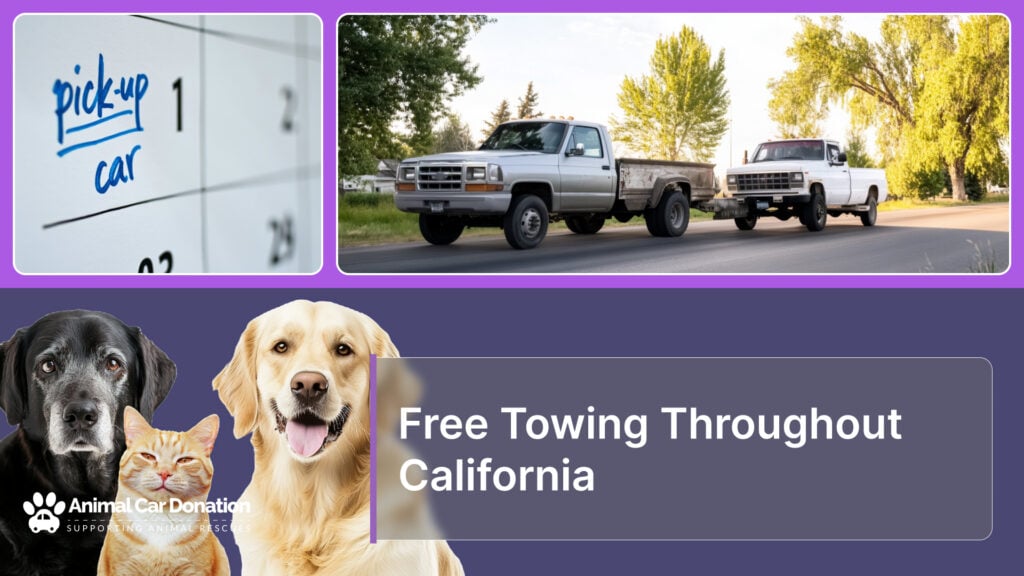 Free Towing Throughout California