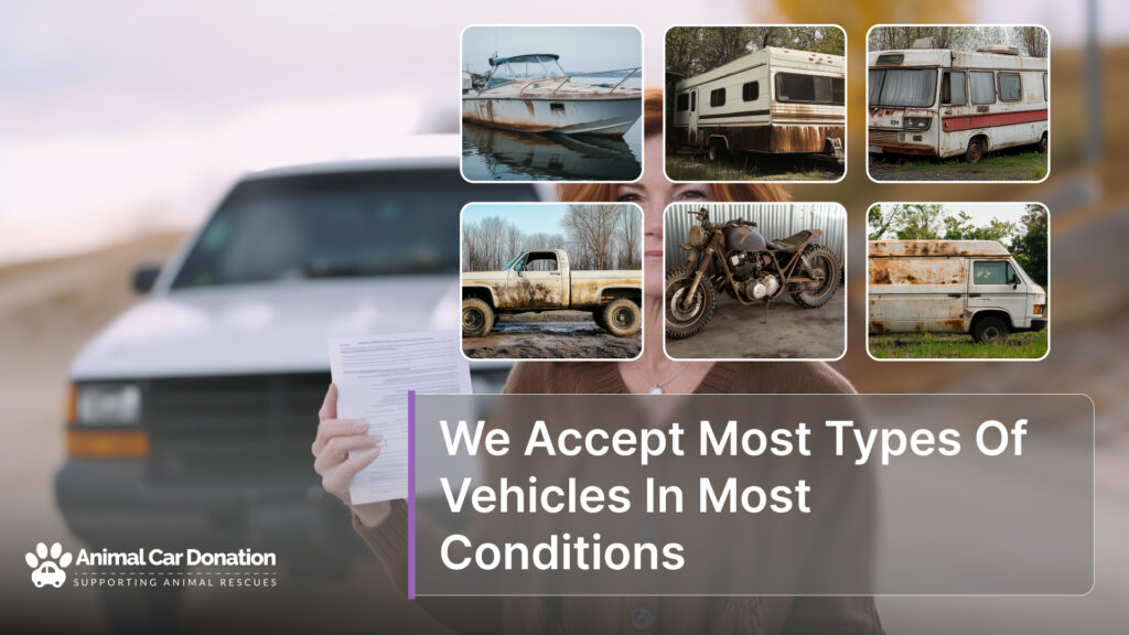 We Accept Most Types Of Vehicles In Most Conditions