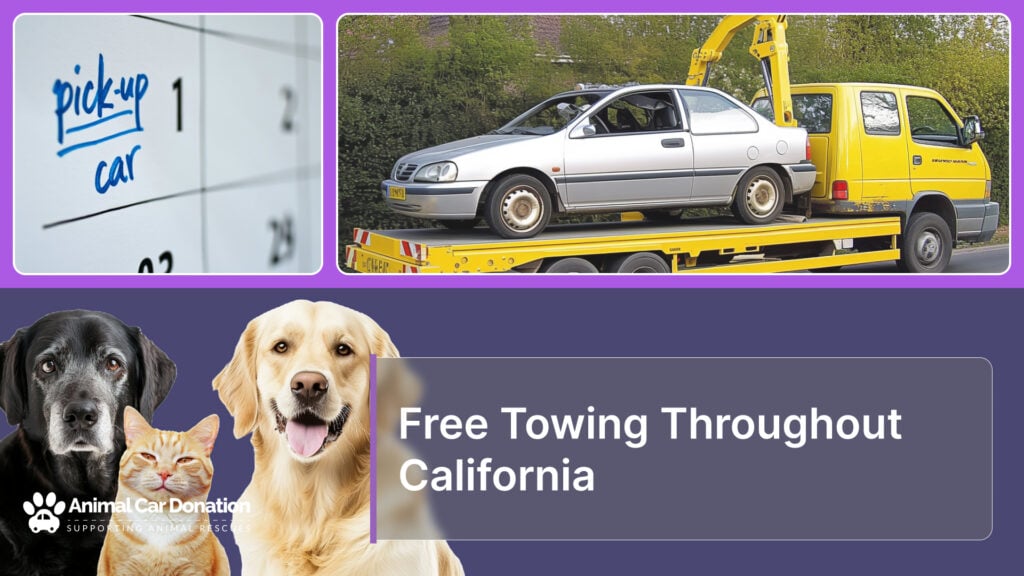 Free Towing Throughout California