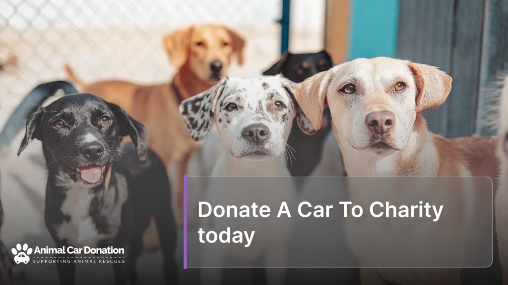 Donate A Car To Charity today