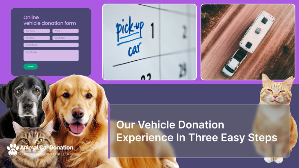 Our Vehicle Donation Experience In Three Easy Steps