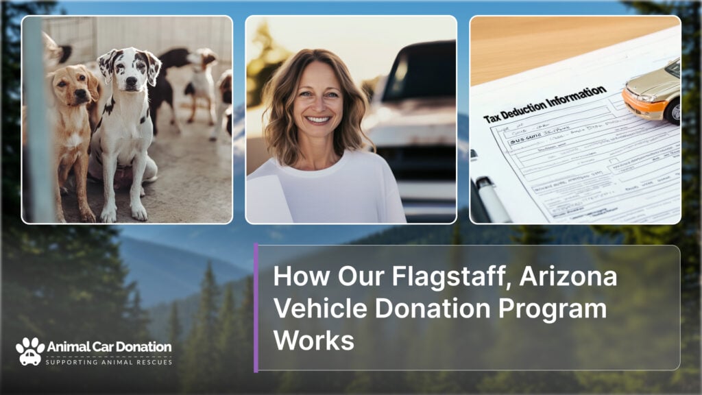 How Our Flagstaff, Arizona Vehicle Donation Program Works