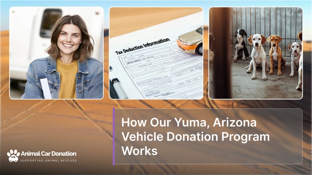 How Our Yuma, Arizona Vehicle Donation Program Works