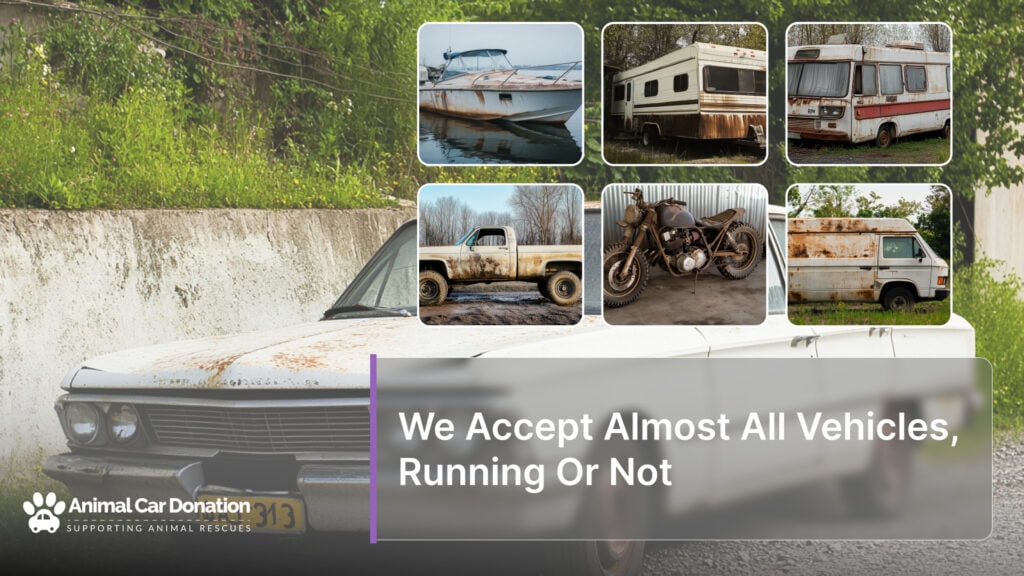 We Accept Almost All Vehicles, Running Or Not